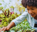 black female farmer checks plants
