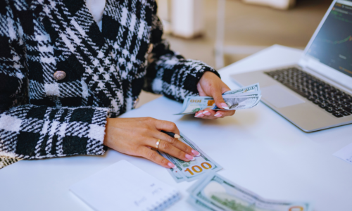professional woman budgeting her cash